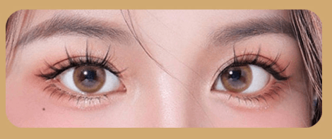 GlueFree Magnetic Lashes - Natural Look Reusable